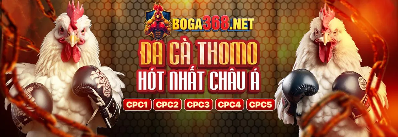 Tin tức 98win98 nhà cái